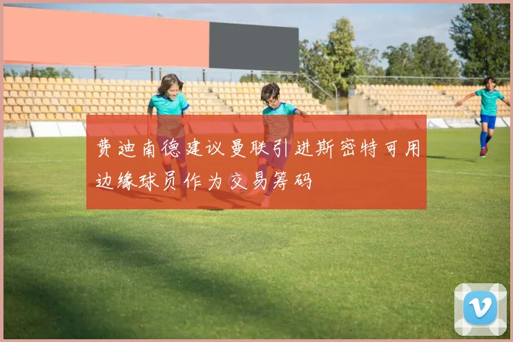 费迪南德建议曼联引进斯密特可用边缘球员作为交易筹码