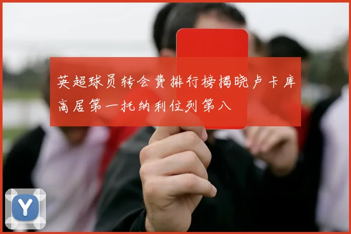 英超球员转会费排行榜揭晓卢卡库高居第一托纳利位列第八