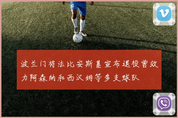 波兰门将法比安斯基宣布退役曾效力阿森纳和西汉姆等多支球队